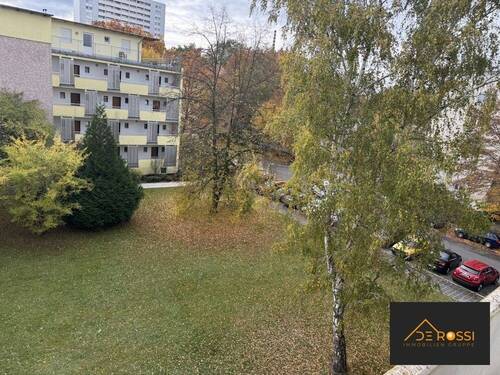 großer_Balkon_grüne_Aussicht - FRISCH RENOVIERT - 1-ZIMMER APPARTEMENT - BEZUGSFERTIG