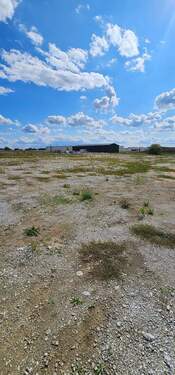 Bild 4 - Grundstück in Jesewitz zum Kaufen