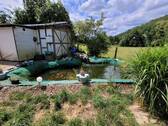 Gartenteich - 