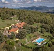 Hochwertig saniertes Bauernhaus mit Pool und 35 Hektar Land, Olivenhain I Immobilie Toskana - Civitella In Val Di Chiana