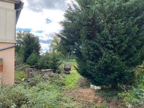 Zufahrtsbereich - Grundstück für Ihr neues ScanHaus - ruhig gelegen in Regis-Breitingen