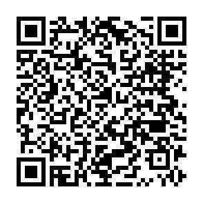 QR-Code - 