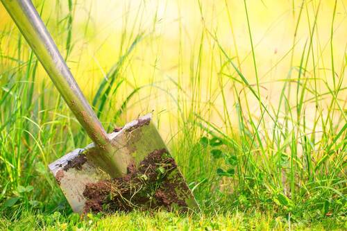 Spaten in Erde - Grüner Garten - 