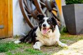 H_3050.jpg - 