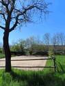 IMG Reitplatz _8195.jpg - 