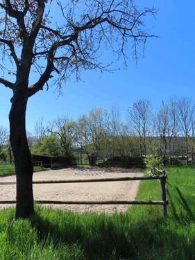 IMG Reitplatz _8195.jpg - 