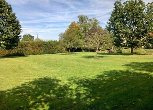 green - Ebenerdiges Baugrundstück mit Baumbestand - optimal für Bungalows! L - Echternach 19min!