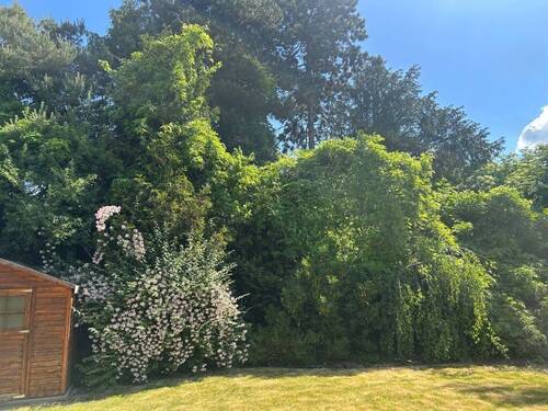 Garten - 