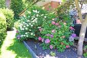 Liebevolle Bepflanzung - 