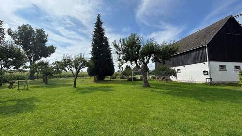 Garten - Streuobstwiese - 