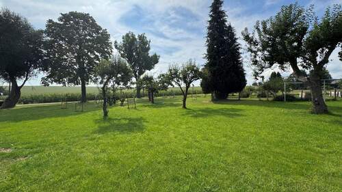 Garten - Streuobstwiese - 