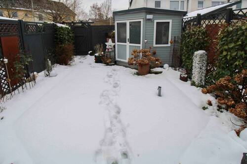 Gartenbereich - 3 Zimmer Einfamilienhaus in Kronshagen