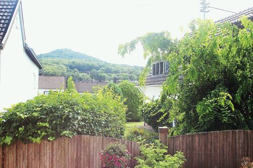 Blick auf den Ölberg! - 