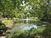 Ententeich - 