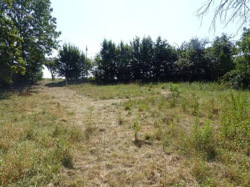 Ansicht 1 - Baugrundstück im Cavertitzer OT Lampertswalde - Sommerseite ZU VERKAUFEN