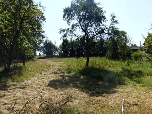 Ansicht 3 - Grundstück in Cavertitz