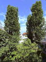 Bild 10 - 