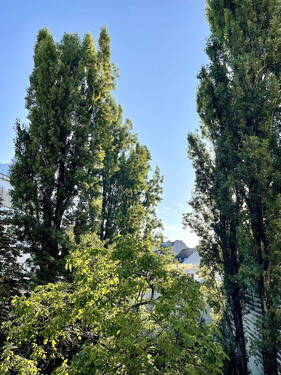 Bild 15 - 