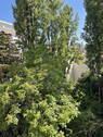 Bild 20 - 