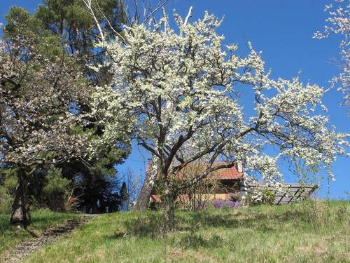 156-Idyllische Lage.JPG - Grundstück zum Kaufen in Weil im Schönbuch