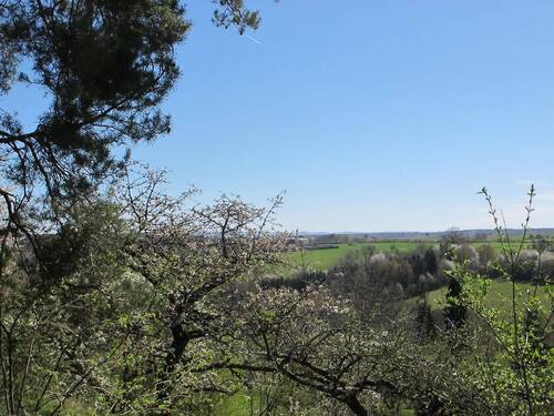 156-Natur im Erwachen ... Frühling.JPG - Grundstück in Weil im Schönbuch