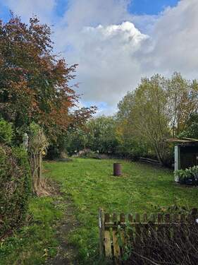 Blick in den Garten - 