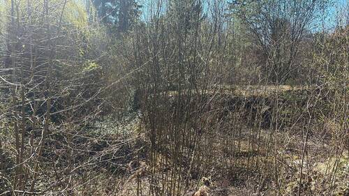 Grundstücksfoto 1 - Grundstück in Naumburg (Saale)