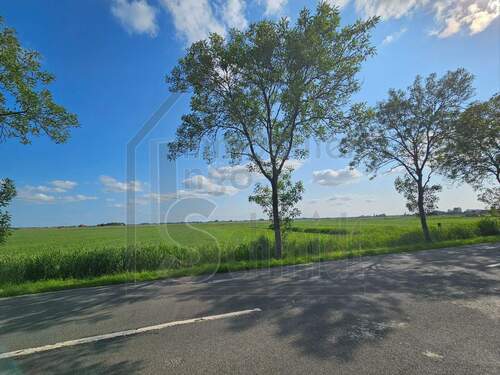 Ausblick Richtung Holland - 