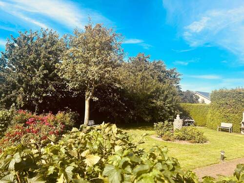 Garten / Grünfläche - 