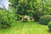 Garten - 