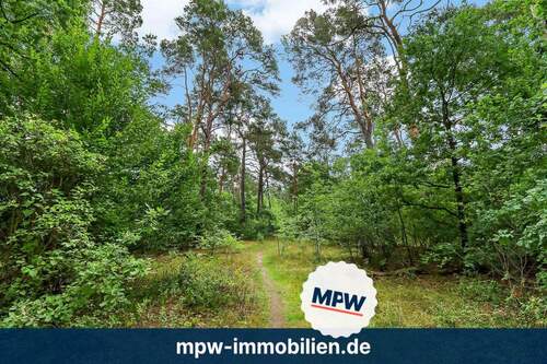 Waldansicht - Märchenwald sucht neue Helden - Prinzen, Feen & Abenteurer willkommen!