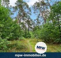 Märchenwald sucht neue Helden - Prinzen, Feen & Abenteurer willkommen! - Berlin Müggelheim