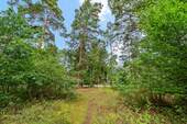 Waldansicht - Einfamilienhaus zum Kaufen in Berlin