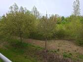 20260506_122429.jpg - 