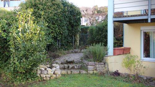 Gepflegter Garten mit gekiestem Zugangsweg - 