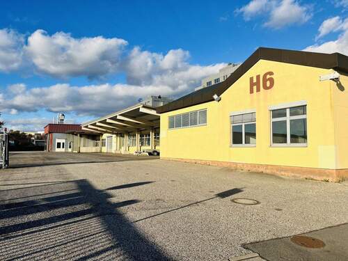 Westansicht der Immobilie mit Freifläche - *TOP-PREIS & VIEL PLATZ* Vielseitig nutzbare Halle mit ca. 7.600m² großem Grund, Nutzfl. ca. 3.000m², Freifläche ca. 3.000m²