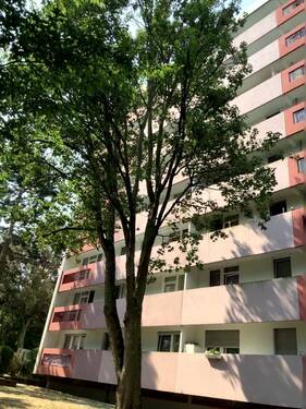 Außenansicht eines mehrstöckigen Wohnhauses mit Balkonen, umgeben von Bäumen. - Frisch modernisierte 3-Zimmer-Wohnung mit Balkon zu vermieten!