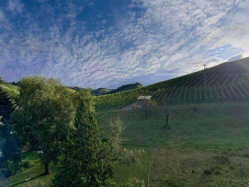 ... und sich vom Ausblick verzaubern lassen! - 