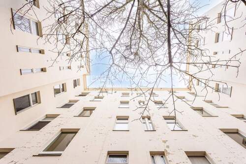 Rückansicht - Aufgeteilter Altbau in ruhiger und zentraler Wedding-Lage