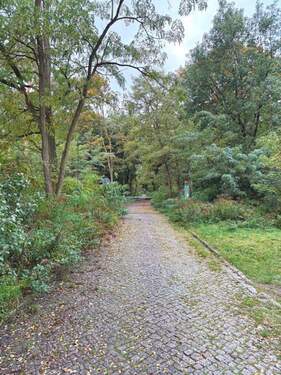 Zugang zum Wald - 