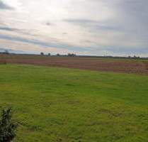 Attraktives Grundstück mit Perspektive: Sanieren oder neu entwickeln - Rheinmünster Söllingen