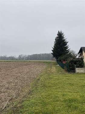 Hinterer Zufahrtsweg - 4 Zimmer Einfamilienhaus in Rheinmünster