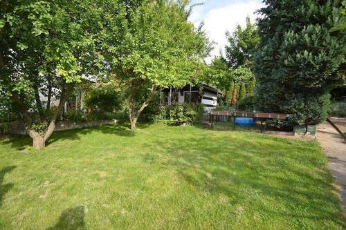 Gartenimpressionen - 9 Zimmer Einfamilienhaus zum Kaufen in Mainz / Marienborn