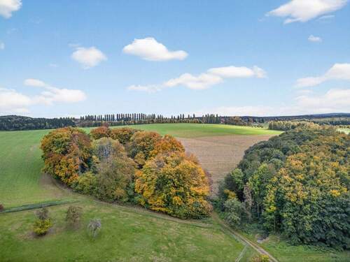 Direkte Umgebung Natur pur - Doppelhaushälfte mit 109,00 m² in Karlsruhe / Hohenwettersbach zum Kaufen