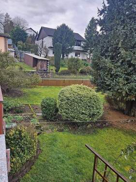 Blick in den Garten - 