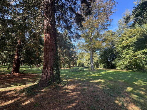 Schlosspark Paffendorf - 