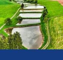 Traumhaftes Grundstück mit 4 Fischteichen - Freudenberg Lintach