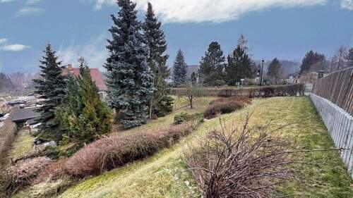 Eindrücke aus dem Garten - 