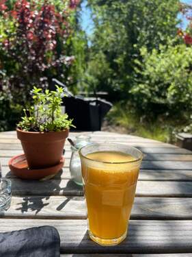 4125e568-dd34-4323-a8f9-d24b9d9dde58.jpg - 