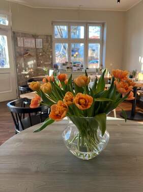 824929f0-3627-454a-9e26-9bd3ba4c0ee2.jpg - 